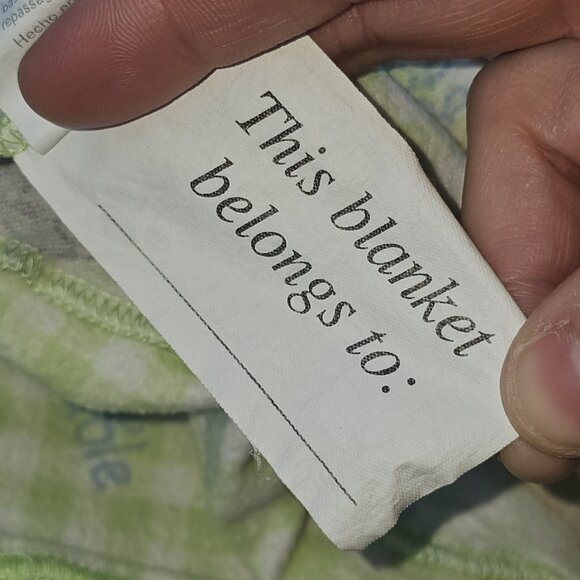 VTG Baby Looney Tunes Flannel Blanket Green Plaid Cotton By DOLLY Tweety Taz - Picture 10 of 10